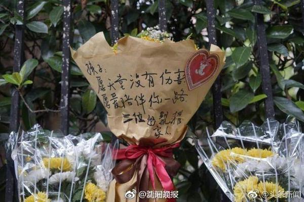 足协举行社会监督员一周年总结会，41名监督员参与监督238人次